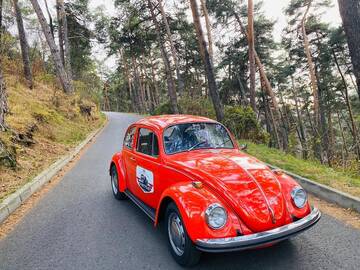 Фото номера Вилла Гостевой дом Vila Old Cars г. Кристьян 7